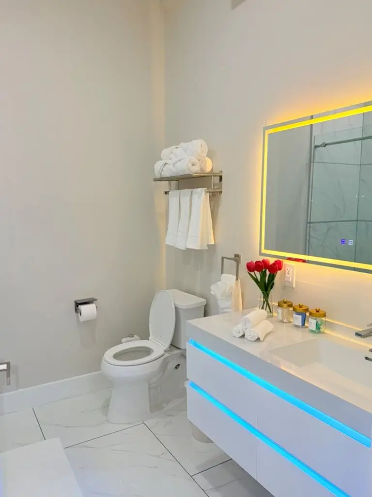 Bathroom with LED-lit vanity and toilet, Residence 411